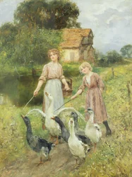 Niñas pastoreando gansos
