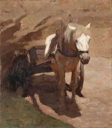 En el pozo de arena