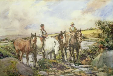 Caballos bebiendo agua