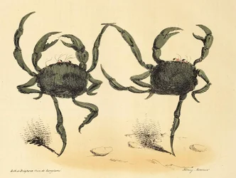 Danse Fantastique de La Caricature, pub. 1831 litografía, 1831