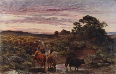 Ganado vadeando un arroyo