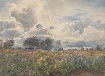 Junio lluvioso, Picardía