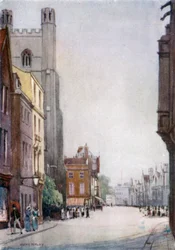 El Colegio del Rey y la Casa del Senado