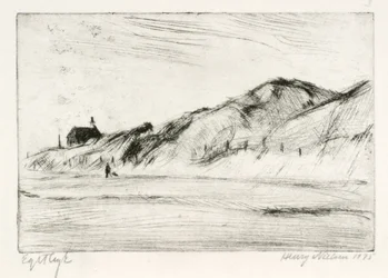 Paisaje costero con casa y persona