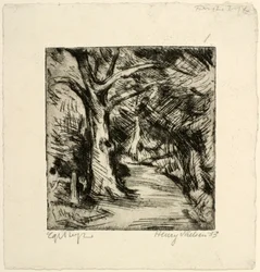 Camino del bosque. Bosque de Riis