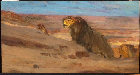 Leones en el desierto