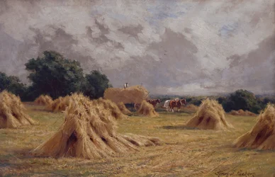 Un campo de maíz en Harlow, Essex