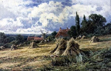 Un campo de maíz en Surrey