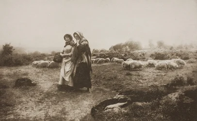 Villancicos