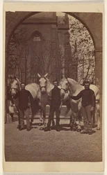 [Tres hombres posando con tres caballos blancos]