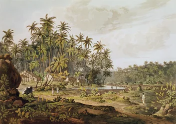 Vista cerca de Point du Galle, Ceilán, grabado por Daniel Havell (1785-1826) publicado en 1809