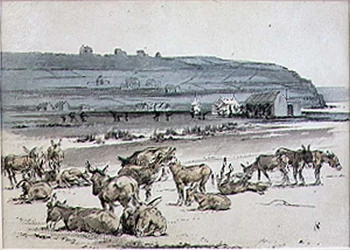 Burros en el Campo de Golf, ilustración de la revista 