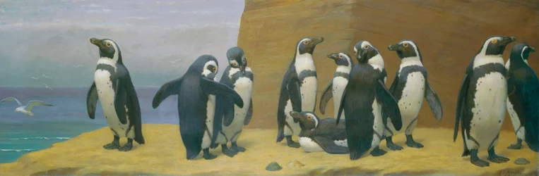 Dominicos en plumas, 1887