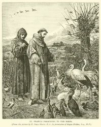 San Francisco predicando a los pájaros
