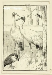 Cuatro pájaros en un paisaje