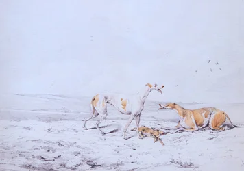 Coursing, A Pair (acuarela)