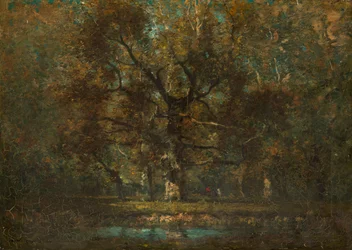 Roble
