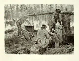 Preparar una cena de campamento