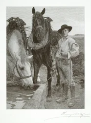 Caballos en el abrevadero