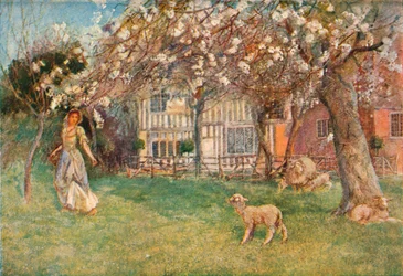 Corderos, c1904
