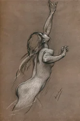Estudio de peces voladores, hacia 1910