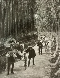 Una avenida de bambú en Kioto, 1910