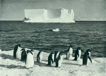 Un iceberg a la deriva en el sonido de McMurdo, c. 1910-1913, 1913