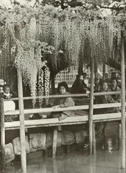 Una pérgola de glicinas en Kameido, 1910