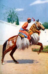 Un caballo árabe danzante, Udaipur, India, 1922