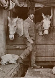 El Capitán Oates y los ponis en el Terra Nova, c1910-1912