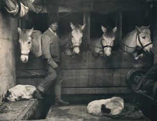 Capitán Oates, en el Terra Nova con los ponis siberianos, c1911, 1914
