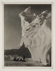 Equipo de perros descansando junto a un iceberg