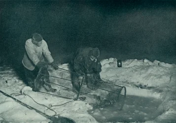 Dr. Atkinson y Clissold subiendo la trampa para peces, 28 de mayo de 1911