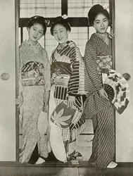 Geisha