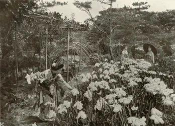 En un jardín de lirios, 1910