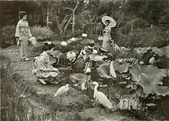 En la Tierra de los Lotos, 1910