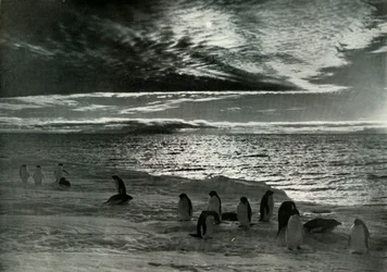 El Sol de Medianoche en el Sonido de McMurdo, c. 1910-1913, 1913