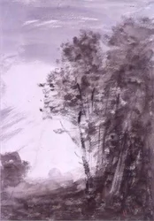 Paisaje con árboles