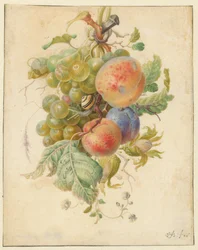 Festón de frutas