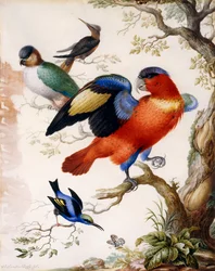Cuatro pájaros en madera