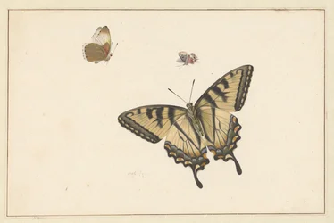 Tres mariposas