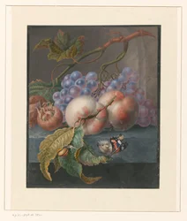 Fruta con una mariposa y un caracol