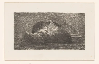 Dos gatos