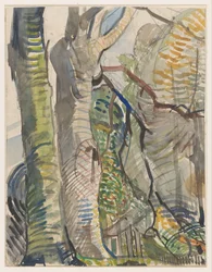 Paisaje forestal