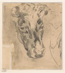 Cabeza de vaca con cuernos