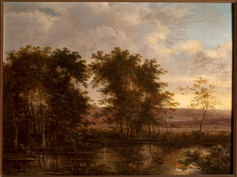 Caza de patos