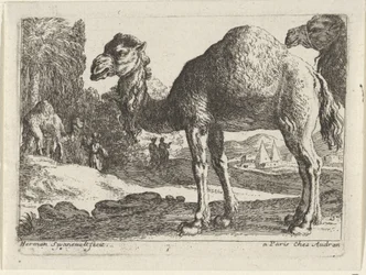 camellos Paisajes con animales (título de serie)