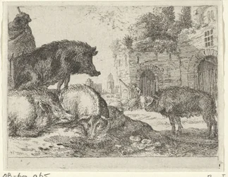 cerdos Paisajes con animales (título de serie)