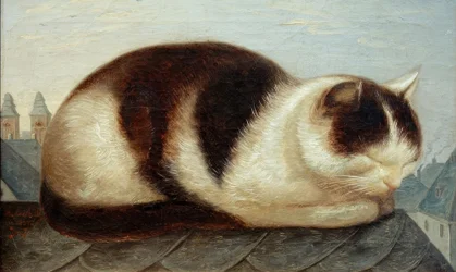 Gato