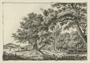 Paisaje con dos vacas a la sombra.